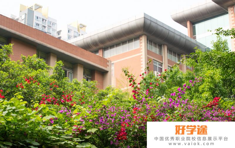 重庆第八中学校国际部2022年报名条件、招生要求、招生对象