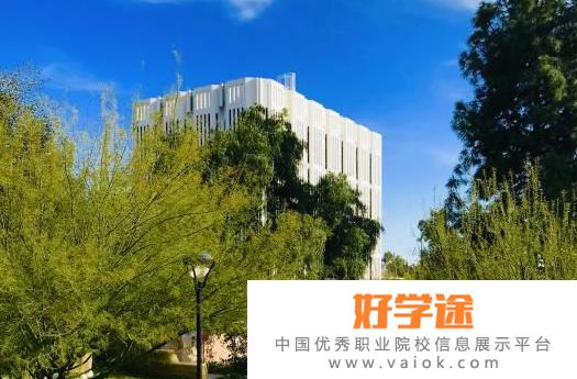上海金苹果双语学校国际部2022年报名条件、招生要求、招生对象