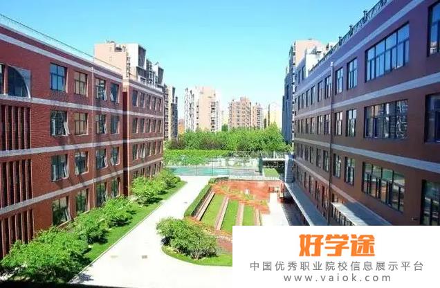 北京中芯学校高中部2022年课程体系