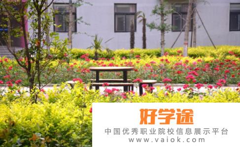河南师大附中双语国际学校2022年报名条件、招生要求、招生对象