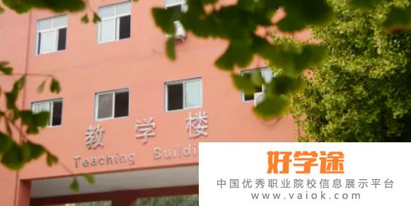 北京新府学外国语学校2022年招生计划