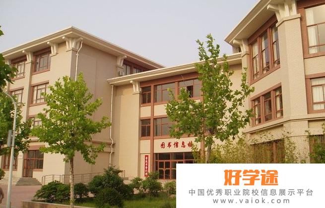 郑州第七中学国际部2020年招生计划