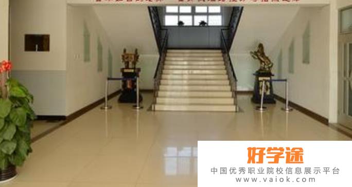 北京中关村外国语学校网站网址