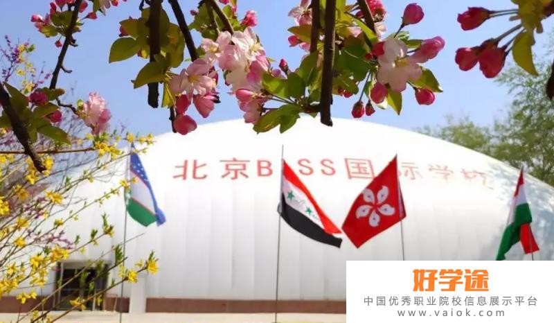 北京BISS国际学校2022年课程体系