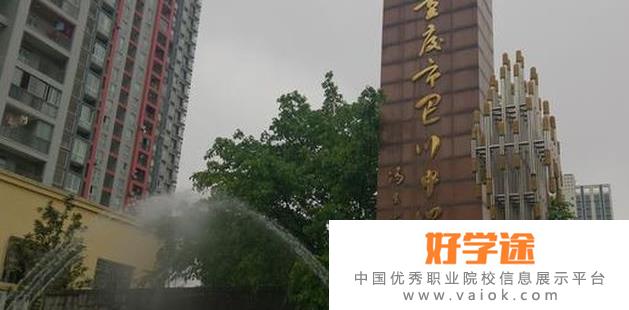 重庆巴川国际高级中学2022年报名条件、招生要求、招生对象