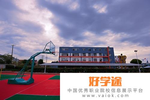 上海常青日本高中学校2022年课程体系