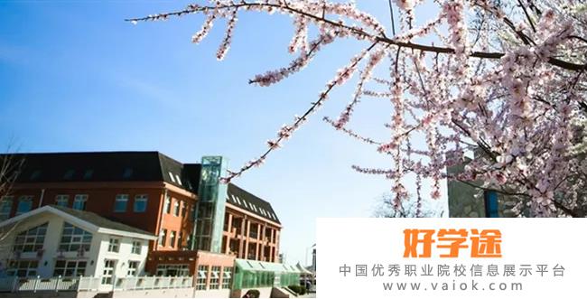 北京海淀国际学校高中部2022年入学条件