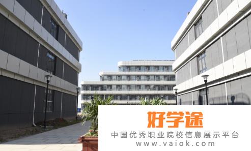 潍坊滨海国际学校小学部2020年招生简章