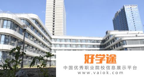 潍坊滨海国际学校小学部2022年学费、收费多少