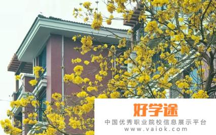 广东碧桂园职业学院2020年报名条件、招生要求、招生对象
