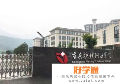 重庆护理职业学院2020年招生代码