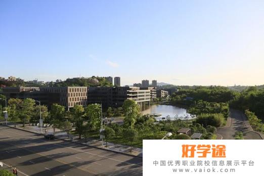 重庆艺术工程职业学院2020年招生代码