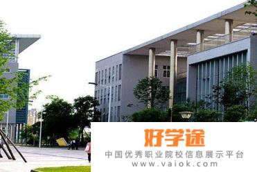 内江职业技术学院是几专
