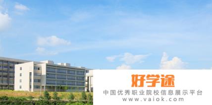 广西交通职业技术学院网站网址
