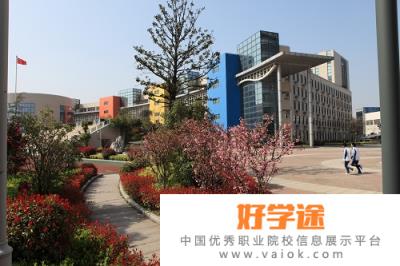南京卫生高等职业技术学校是几专