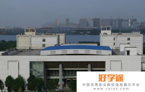 武汉信息传播职业技术学院5